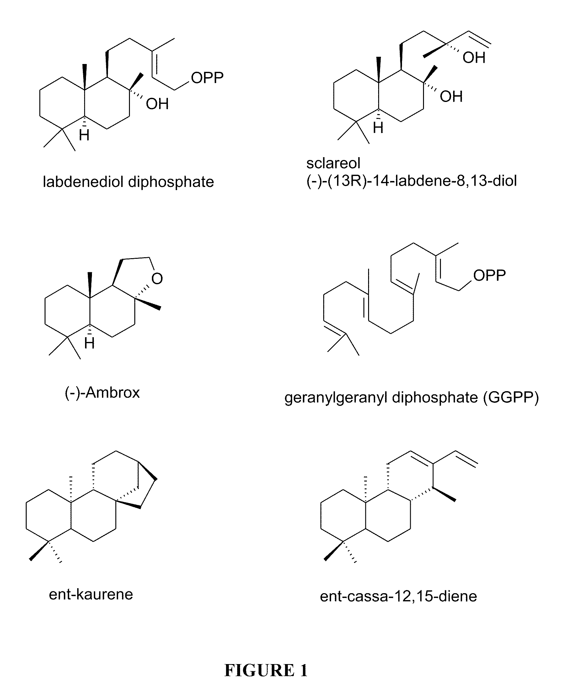 Method for producing sclareol