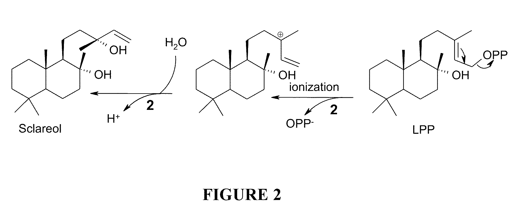 Method for producing sclareol