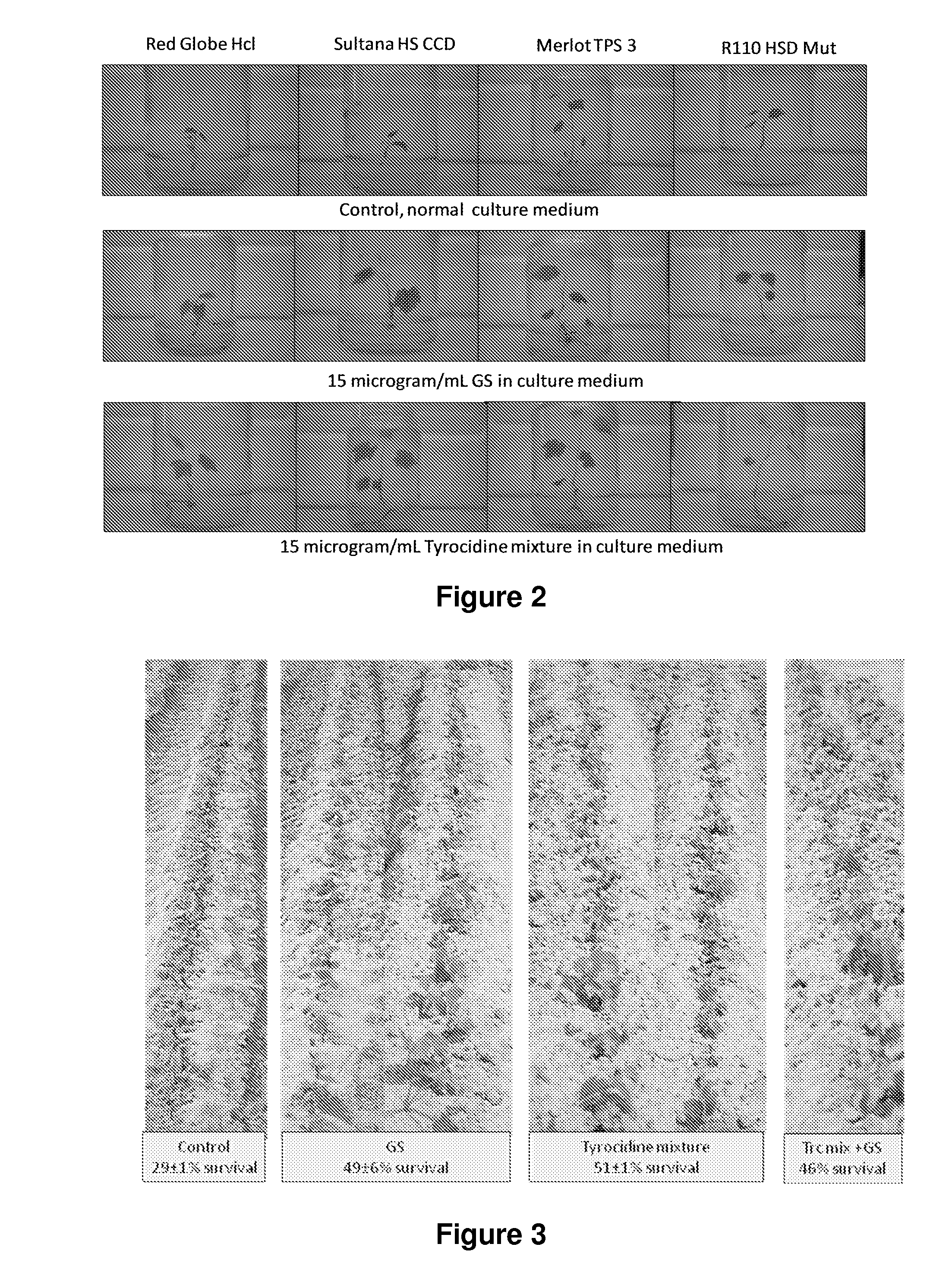 Antimicrobial peptide compositions for plants