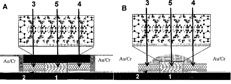 A field effect transistor device using carbon nanotubes as electrodes and its preparation method