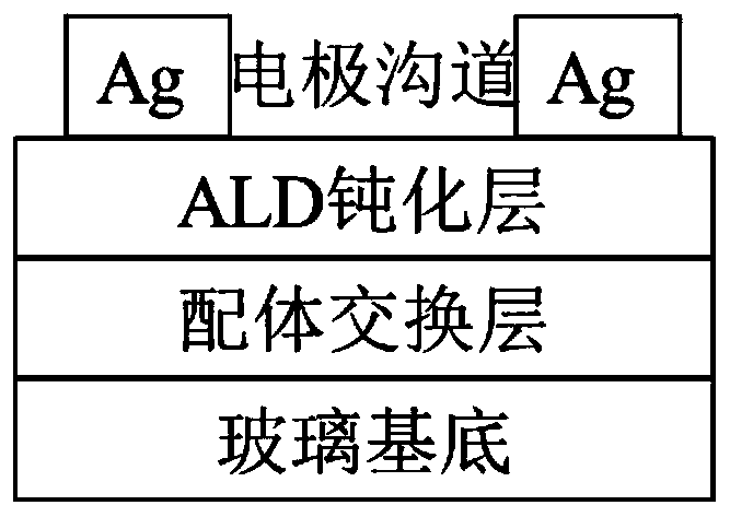 Quantum dot photoelectric detector based on atomic layer deposition and preparation method thereof