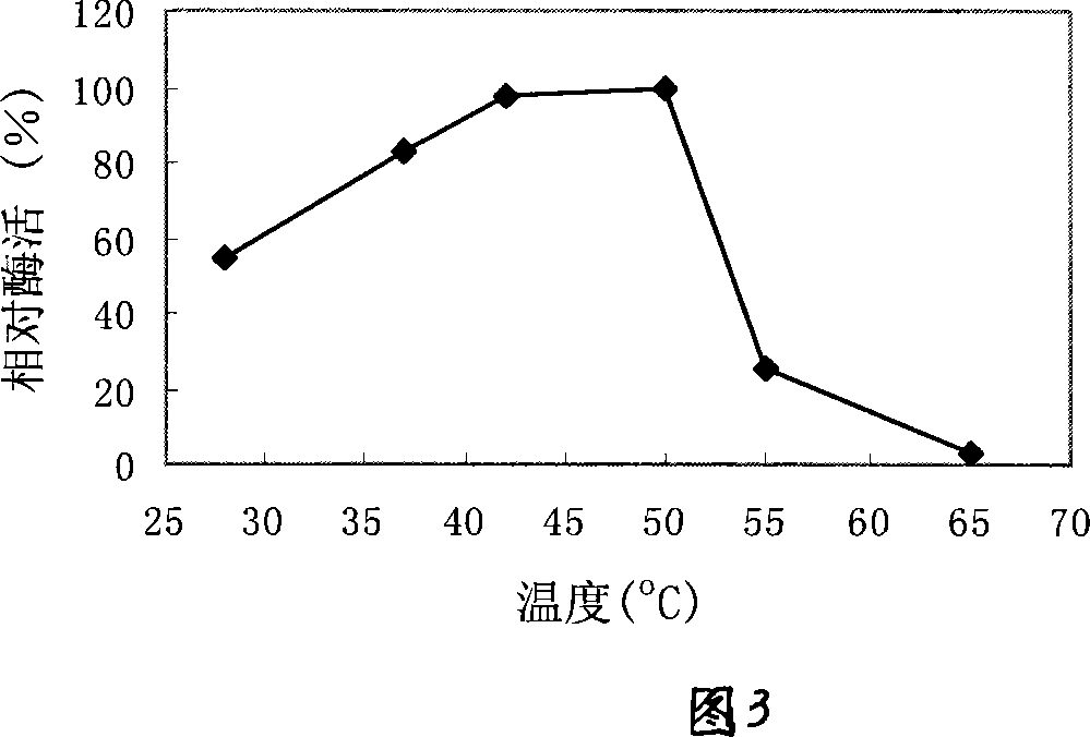 Process of producing heat resistant xylanase with genetically recombinant Pichia yeast