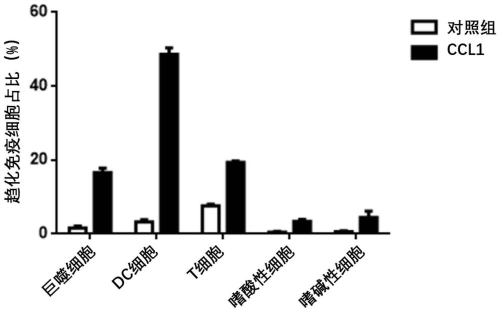 Fusion protein containing CCL1, preparation method and application