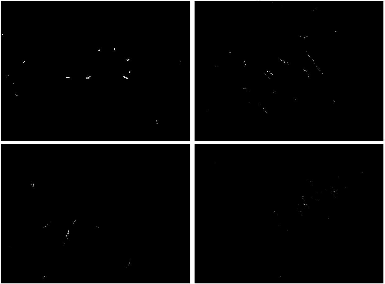 Application of C6 aldehyde volatile substance to inhibition of mycosphaerella fragariae