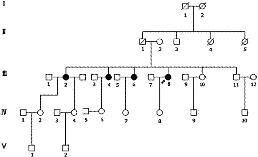 Retinitis pigmentosa related gene identification, and product, method and use thereof