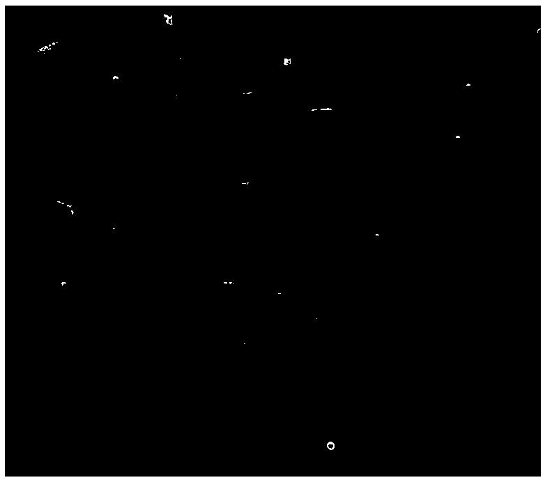 An enteric coated oral gel vaccine for animals and preparation and using methods thereof