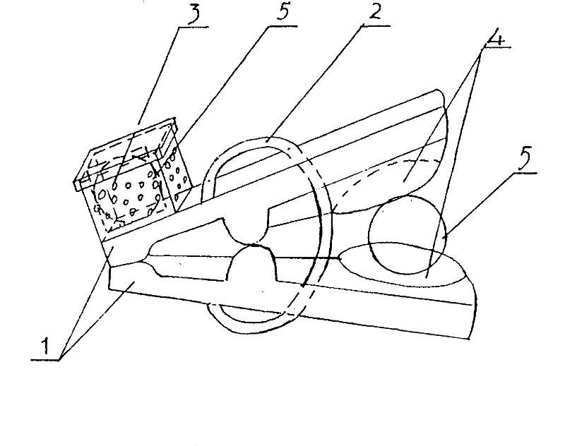Clothes clip capable of storing camphor