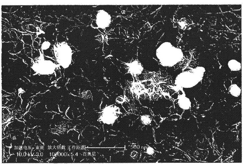 Nanoporous films and method of manufacturing nanoporous films