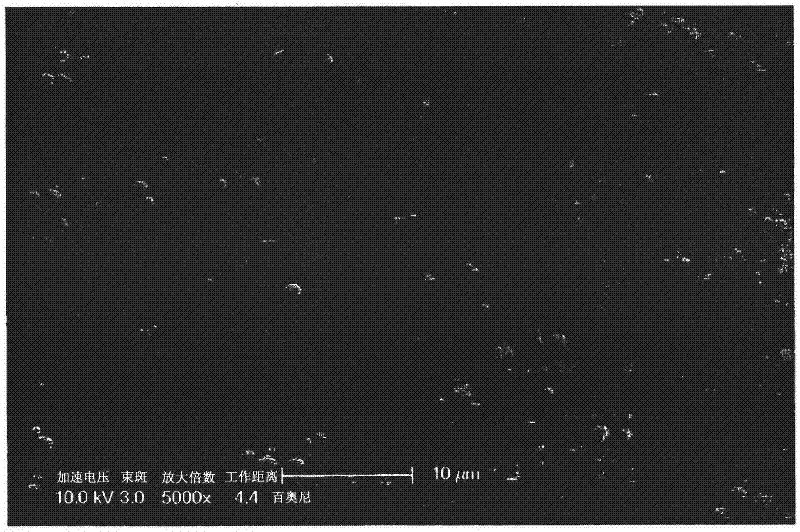 Nanoporous films and method of manufacturing nanoporous films