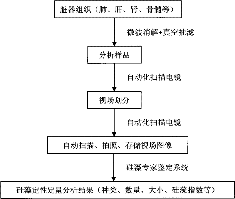 Forensic medical diatom detection automation method