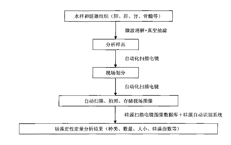 Forensic medical diatom detection automation method