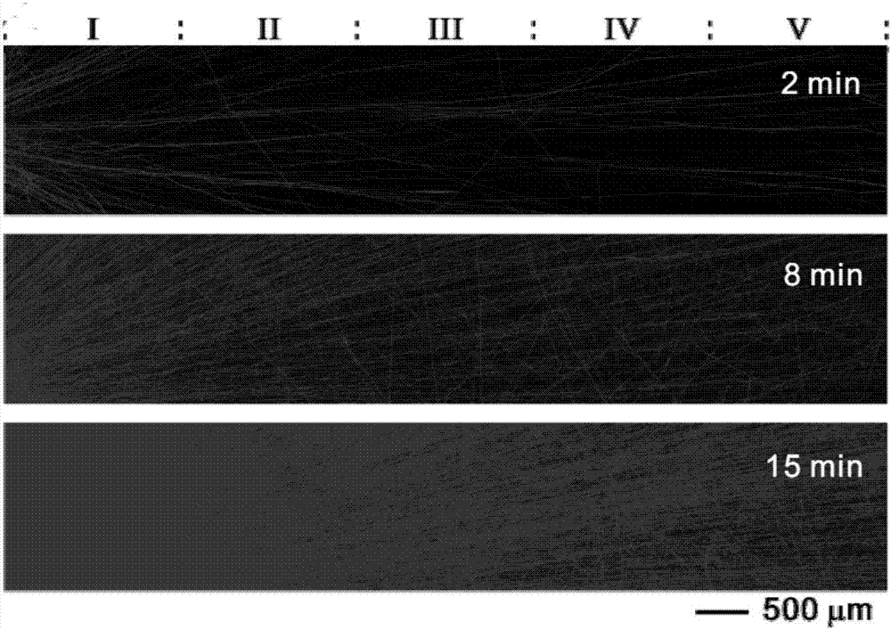 Ordered fibrous scaffold loaded with gradient concentration bioactive molecules, preparation method and application