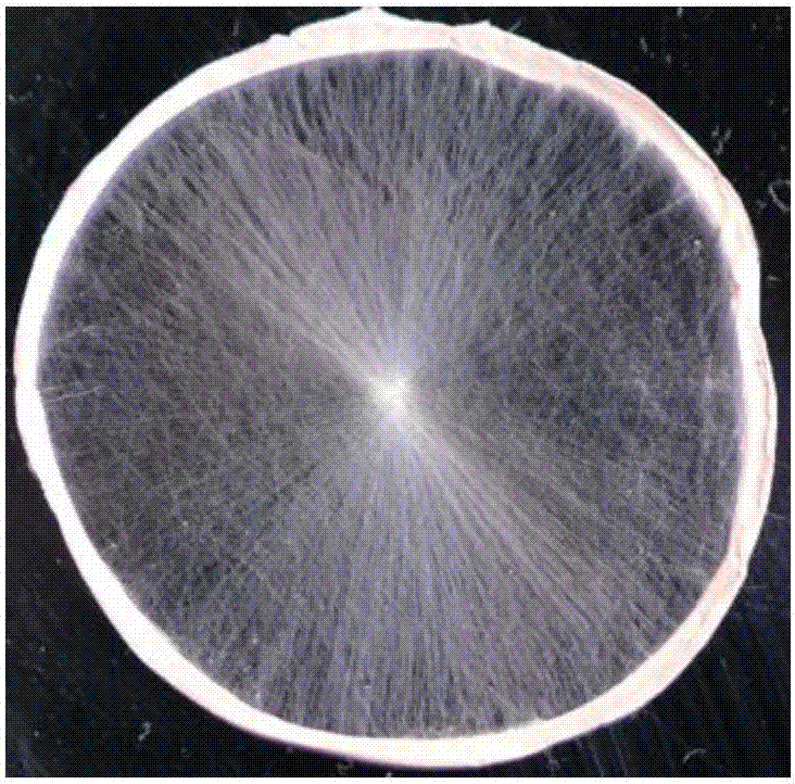 Ordered fibrous scaffold loaded with gradient concentration bioactive molecules, preparation method and application