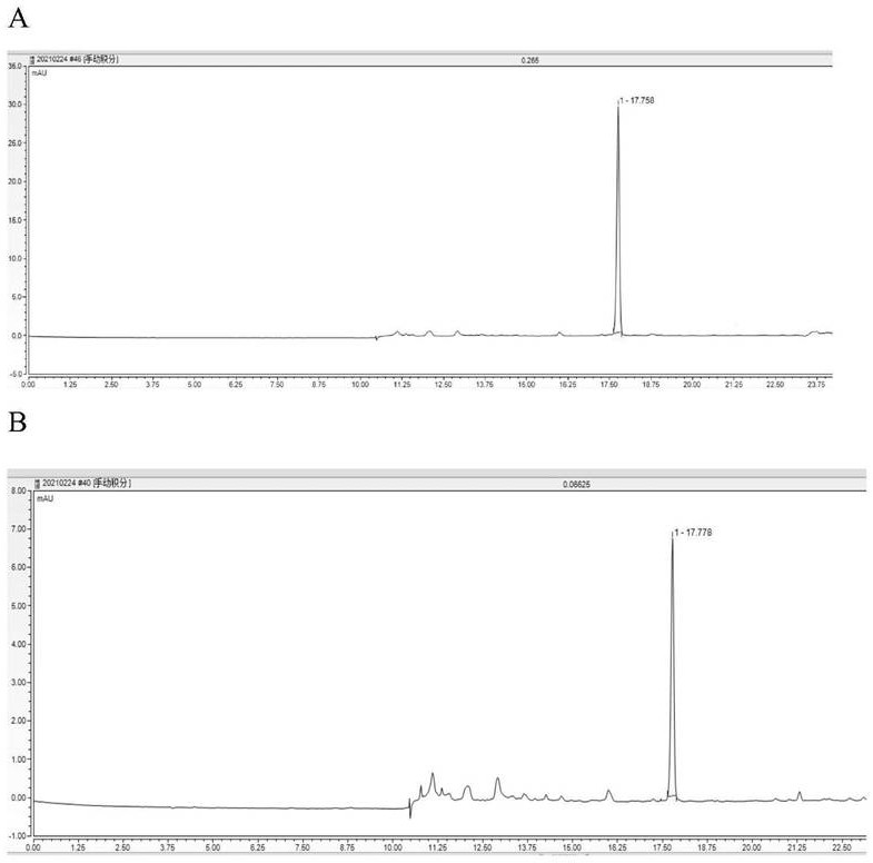 A kind of Bacillus subtilis and its application in the preparation of antibacterial peptides and feed