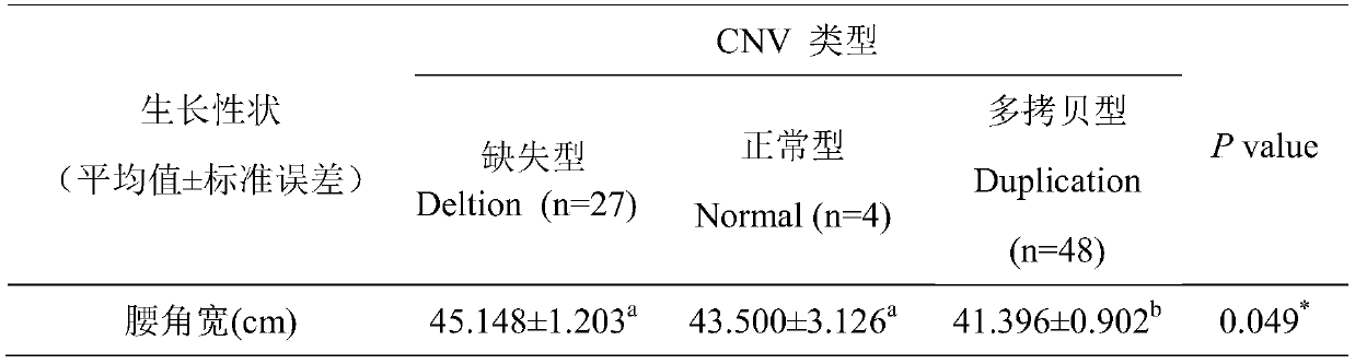 Method for quickly detecting cattle MLLT10 gene CNV marker and application of method