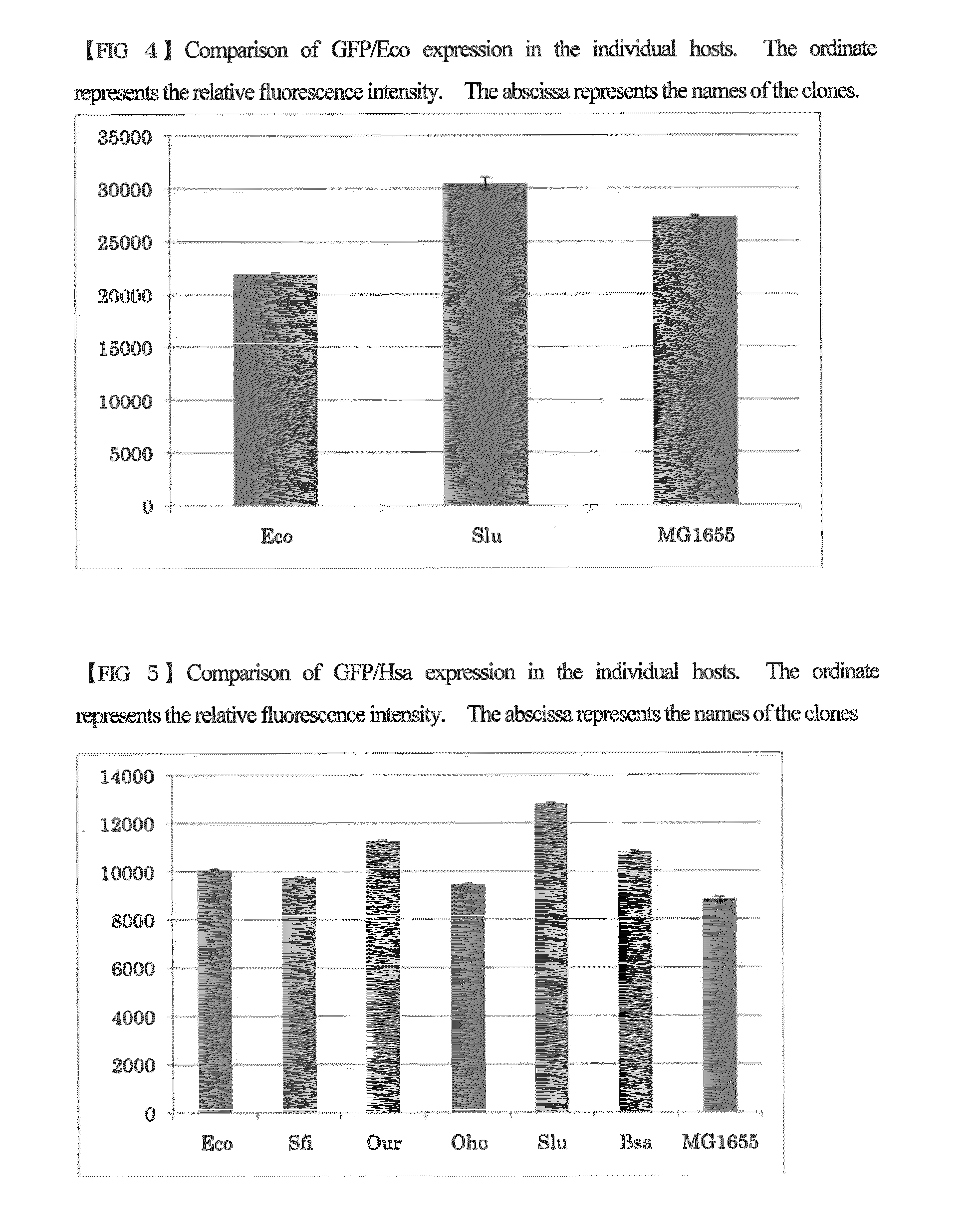 Escherichia coli having a modified translational property