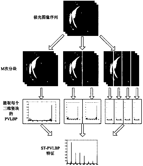Aurora image sequence classification method based on space-time polarity local binary pattern