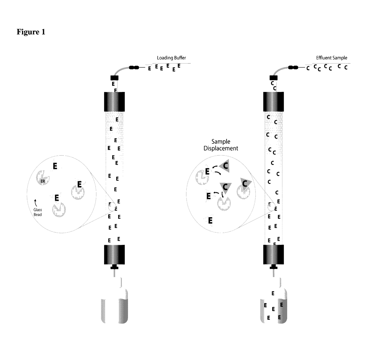 Endocrine disruptor field tester