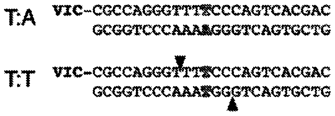 Method for removing and/or detecting nucleic acids having mismatched nucleotides