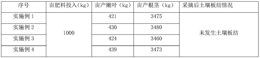 Special fertilizer for houttuynia cordata and production system and production method thereof