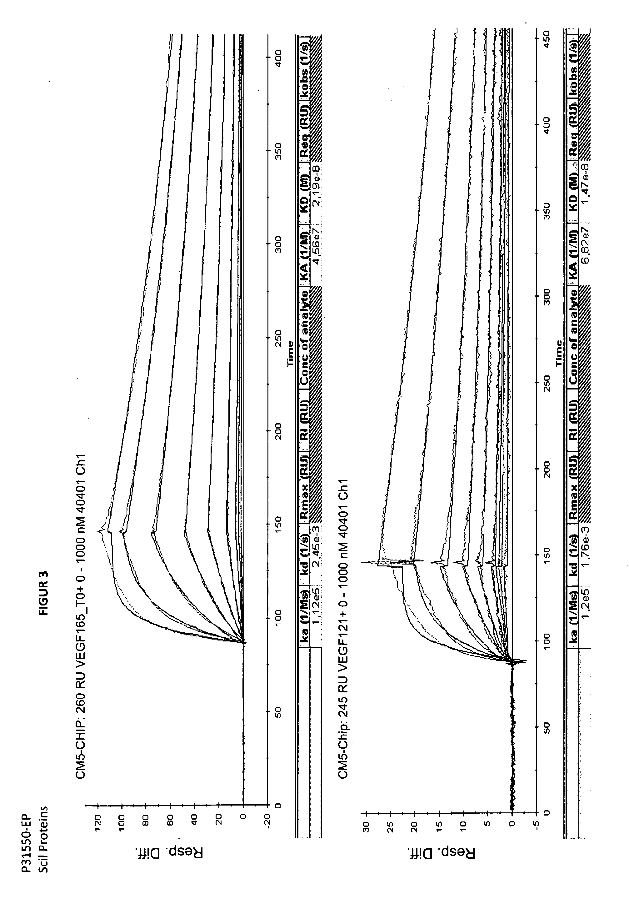 Dimeric binding proteins based on modified ubiquitins