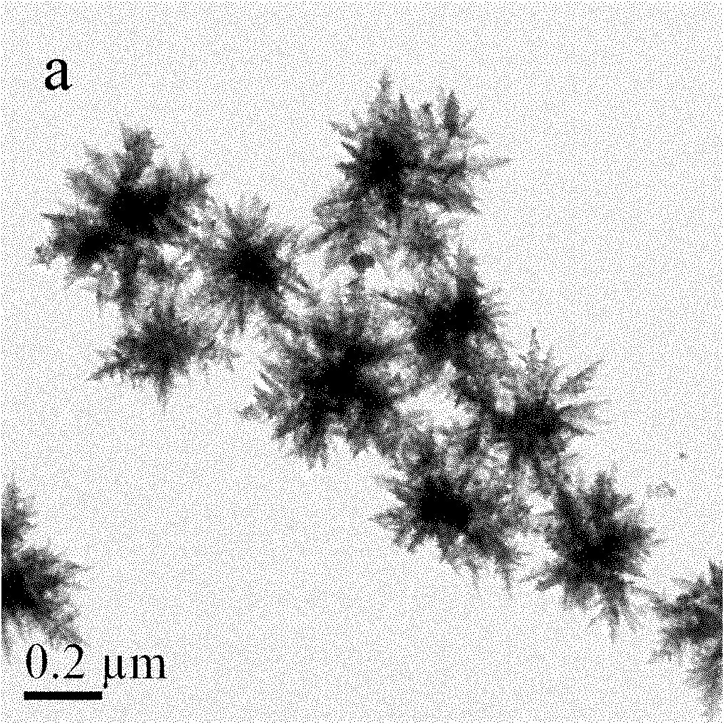 Metal palladium nano-material catalyst and preparation and application thereof