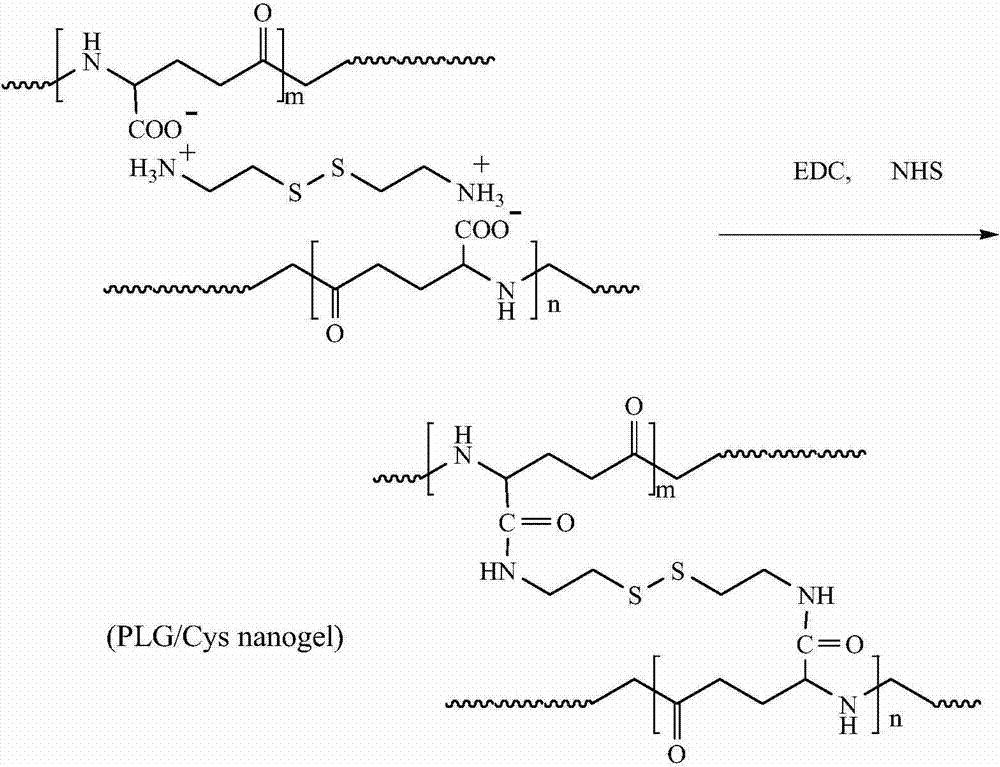 PH/reduction-sensitive nano microgel based on polyglutamic acid and cystamine