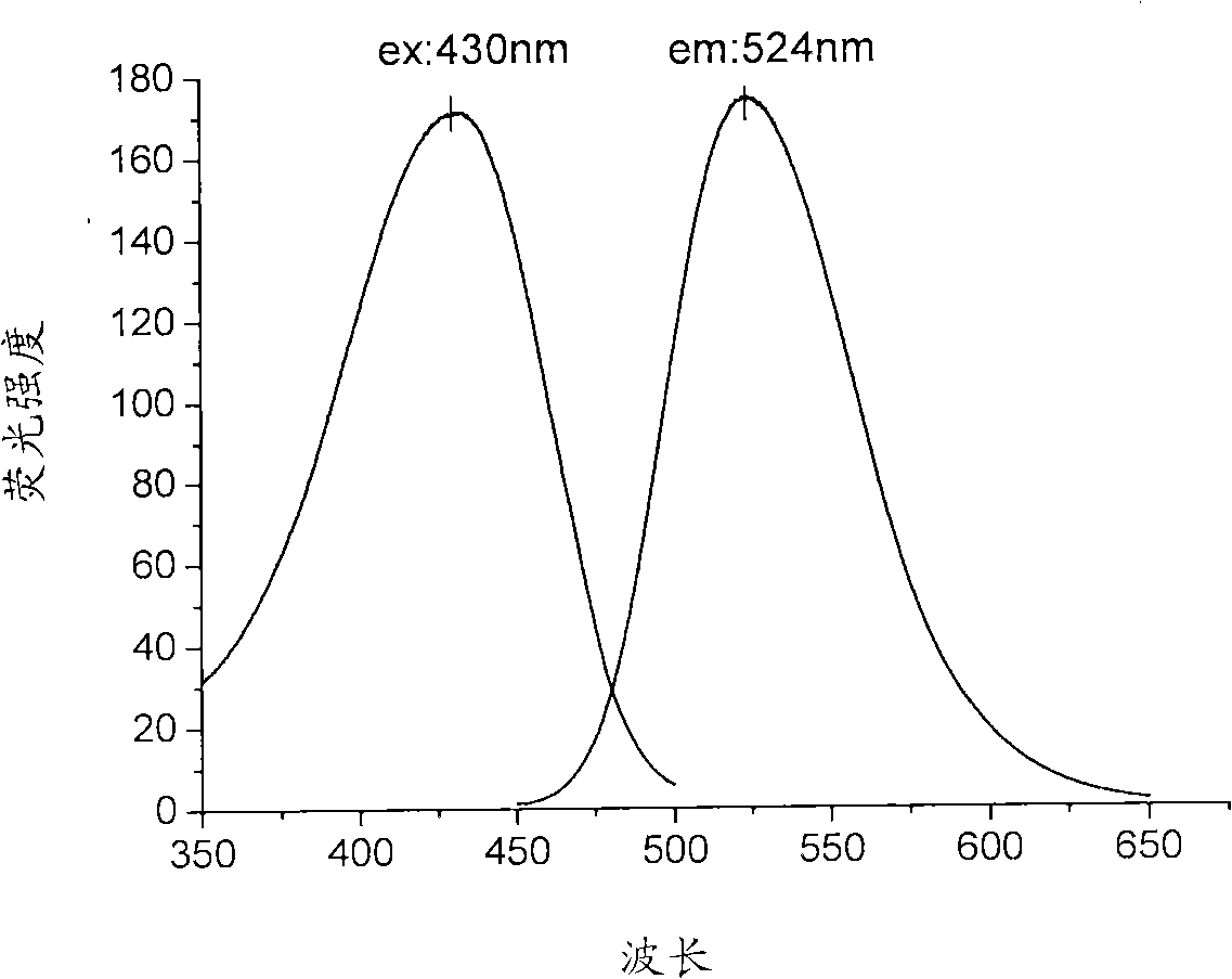 Fluorescent monomer and fluorescent acrylic acid polymer and preparation method of fluorescent monomer and fluorescent acrylic acid polymer