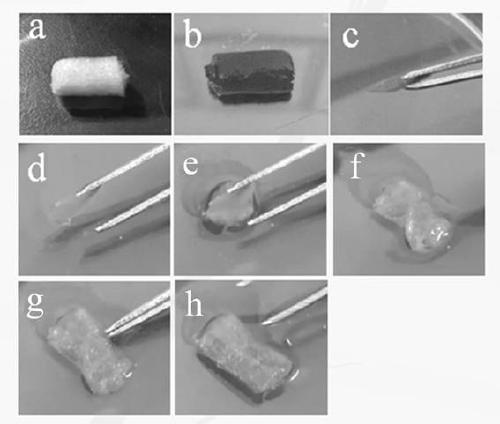 Preparation method of hemostatic sponge and hemostatic sponge prepared thereby