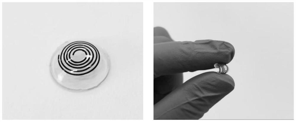 Flexible multifunctional corneal contact lens based on gamma-Fe2O3@NiO magnetic oxide nanosheets