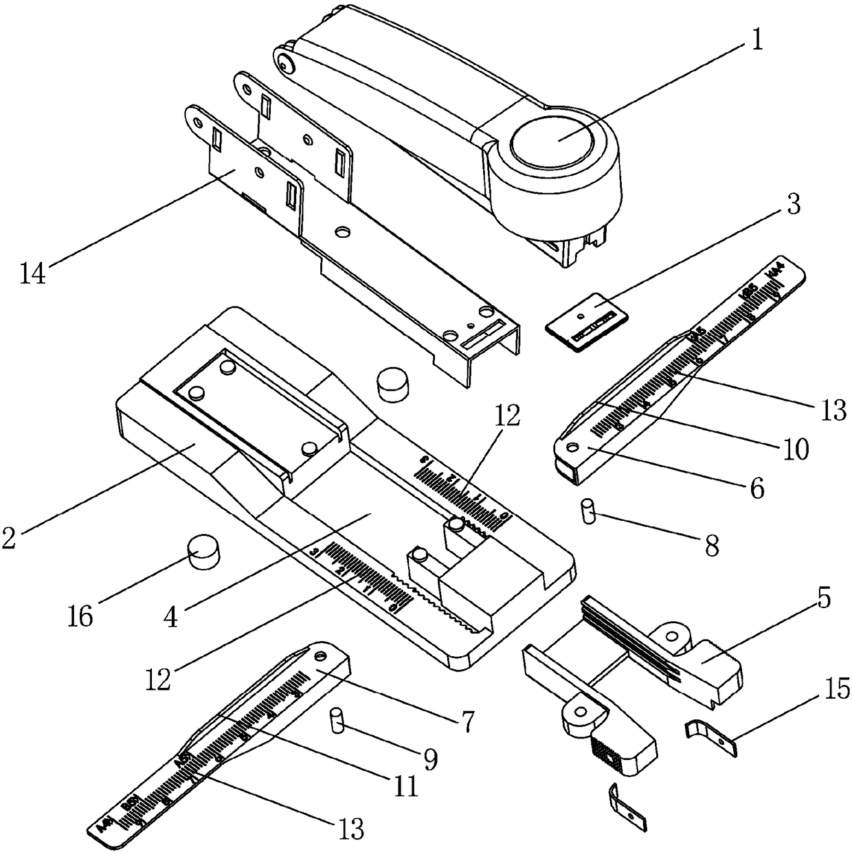 A stapler with a binding ruler