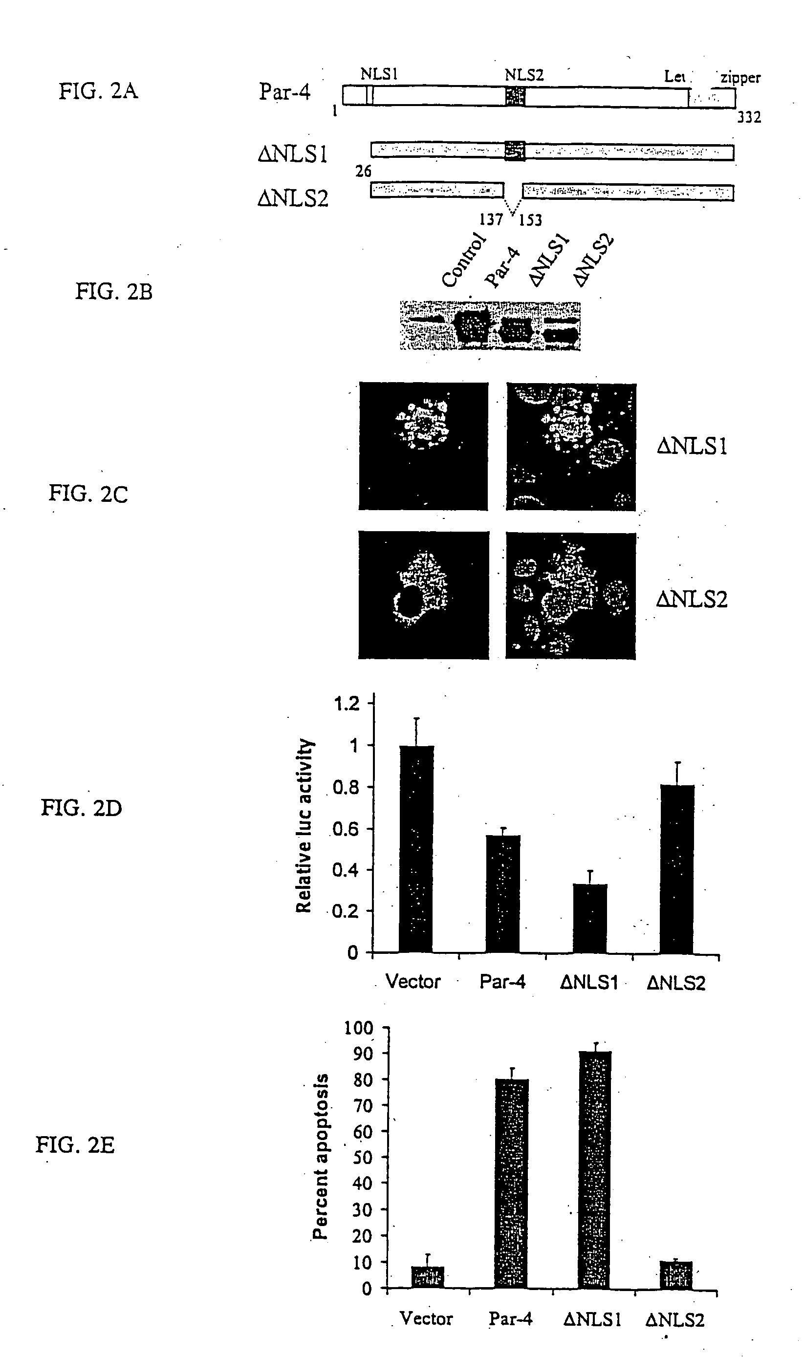 Identification of a unique core domain of Par-4 sufficient for selective apoptosis induction in cancer cells
