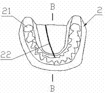 Palate mouth cavity model simulation method and palate mouth cavity models for teaching