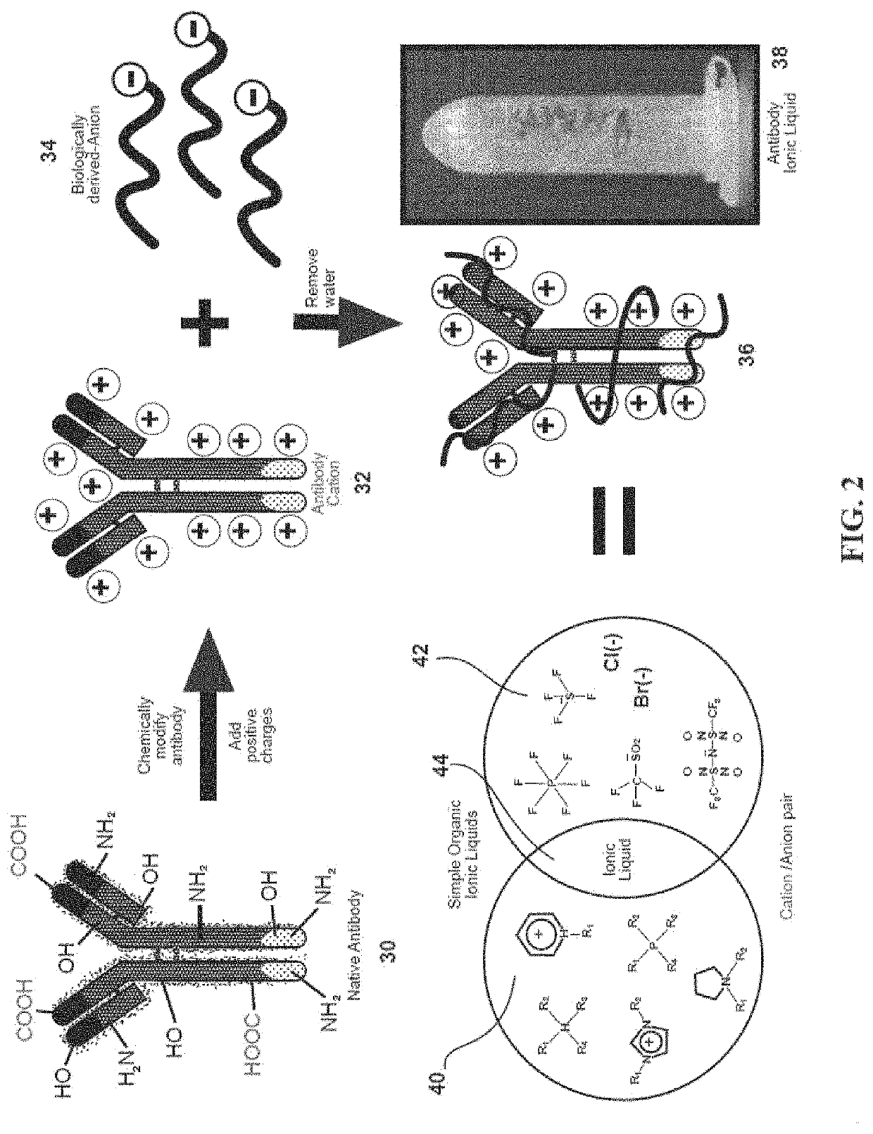 Ultra-stable protein ionic liquids