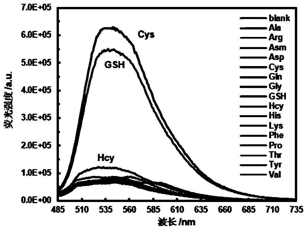Fluorescent probe molecule ML-FP and preparation method and applications thereof