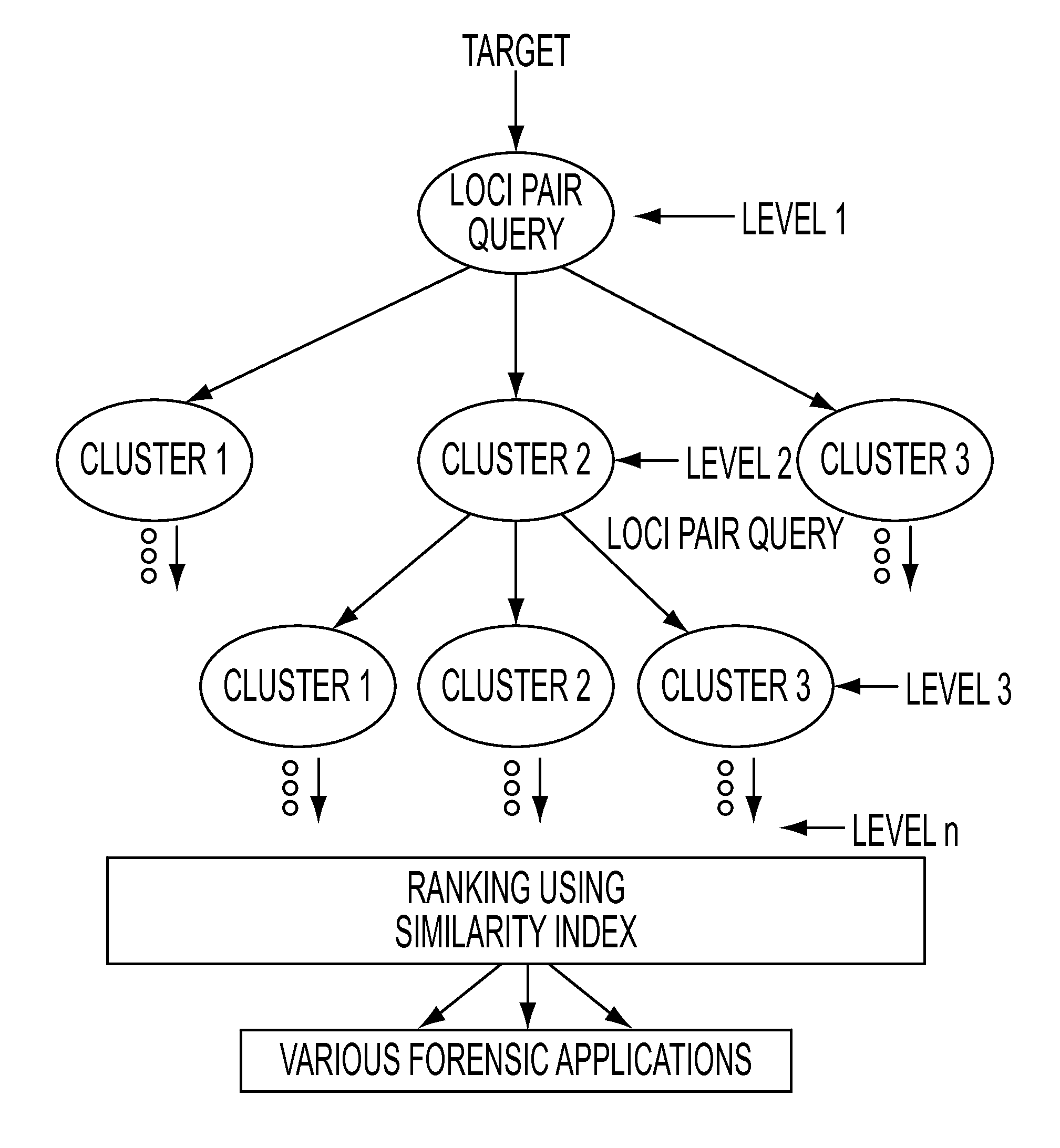 Method and apparatus for classifying known specimens and media using spectral properties and identifying unknown specimens and media