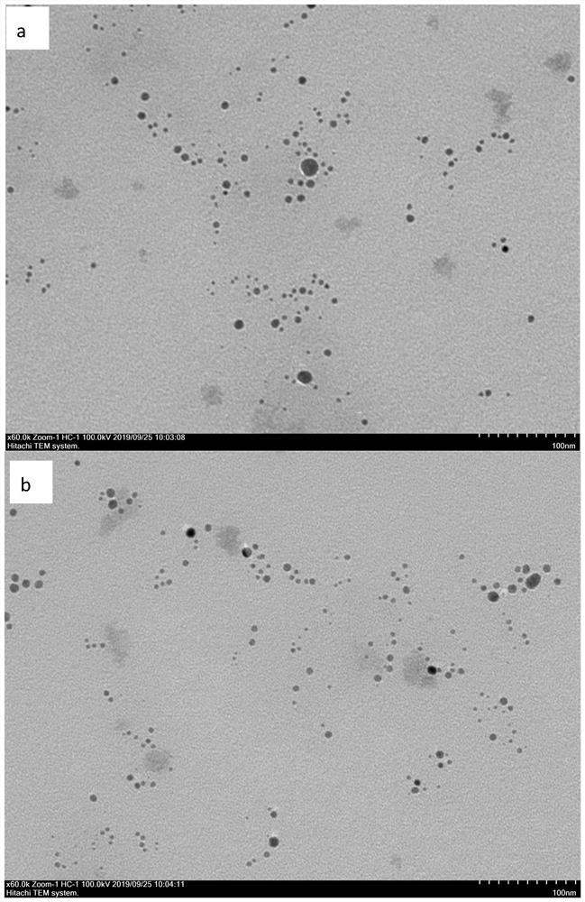 Nano-silver dispersion liquid and preparation method thereof