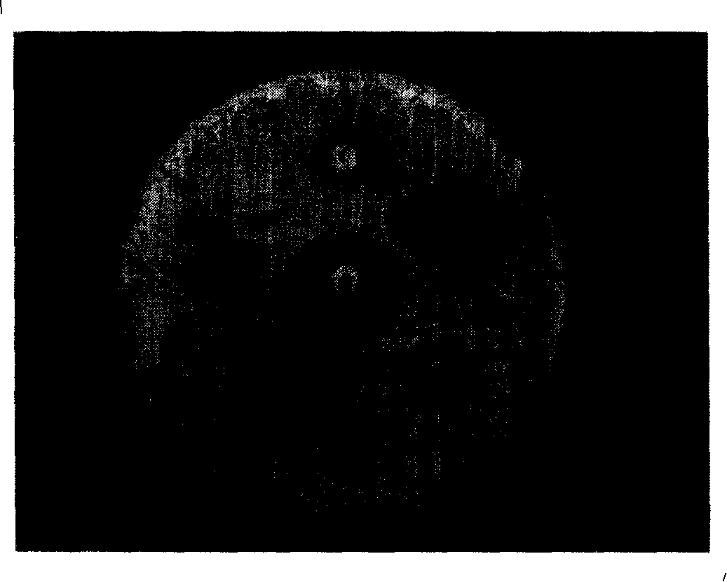 Sesquiterpenoids, composition thereof, method for extracting the same from plants and application