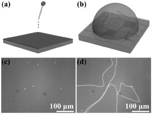 A kind of preparation method of colloidal quantum dot microdisk by water drop method