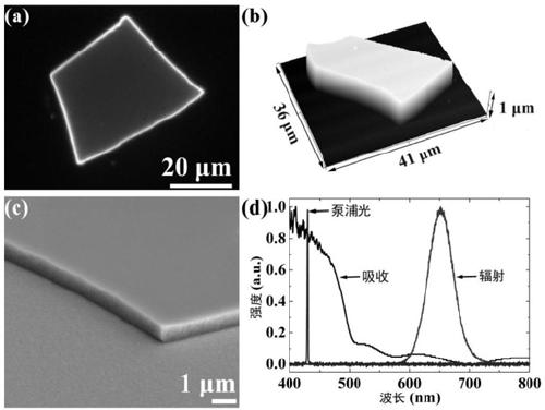 A kind of preparation method of colloidal quantum dot microdisk by water drop method