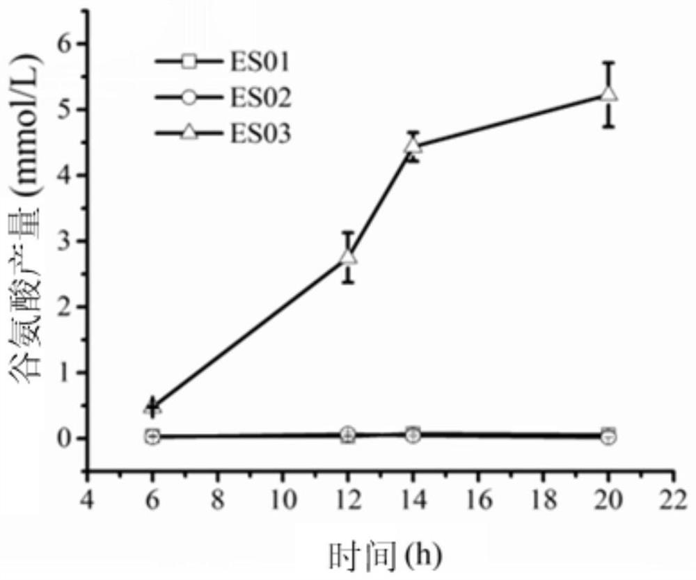 Tricarboxylic acid cycle-free Escherichia coli chassis bacteria as well as construction method and application thereof