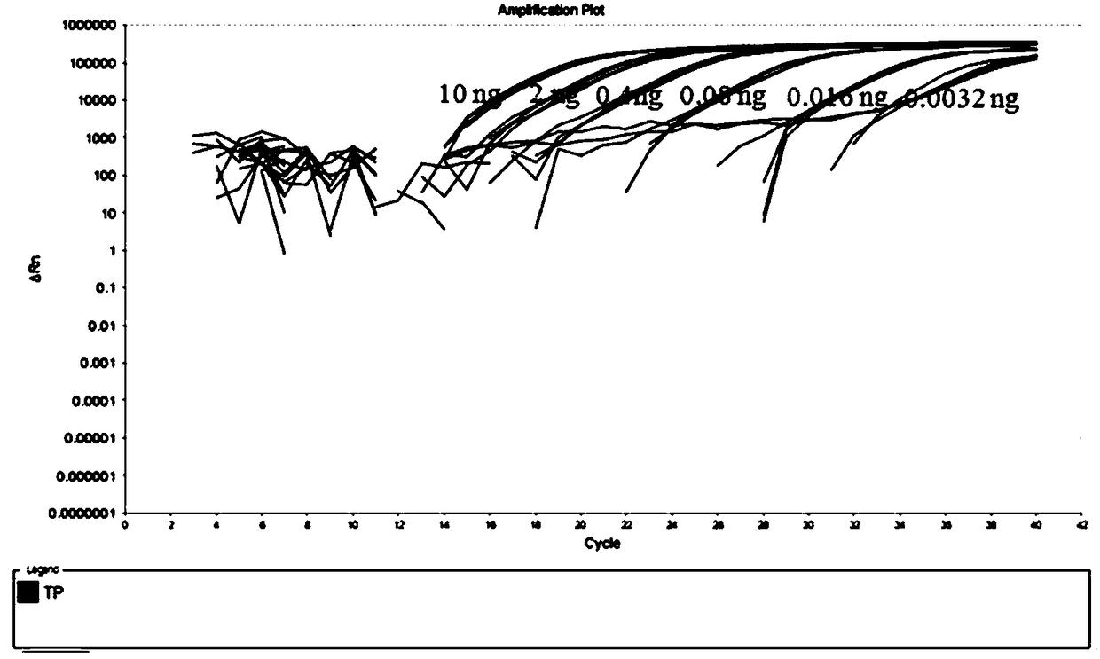 Dendrobium officinale identification fluorescent PCR (polymerase chain reaction) detection kit and application