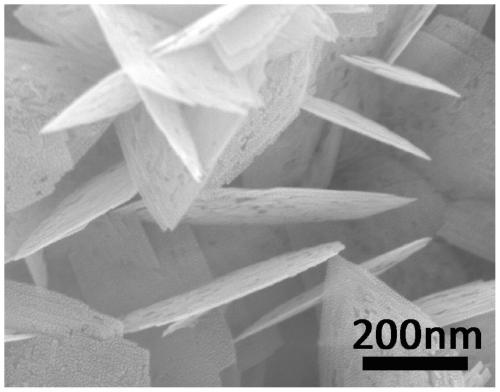 Preparation method and application of {001} crystal face exposed porous titanium dioxide nanosheet