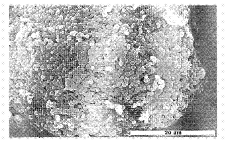 Dual drug-loading composite microsphere and preparation method thereof