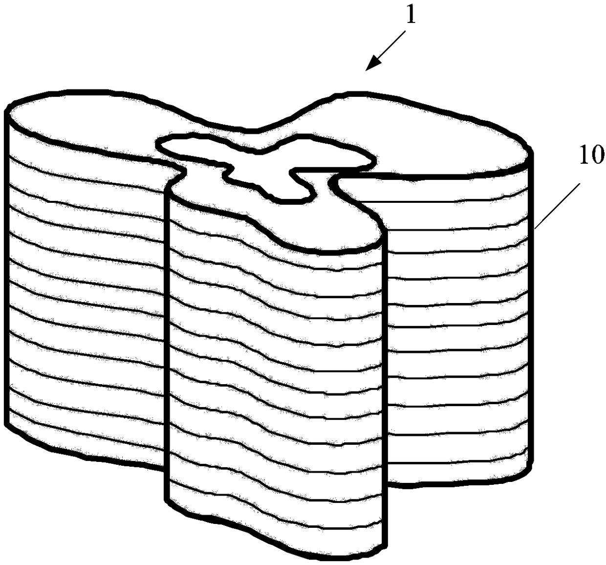 EMP protection invisibility cloak with curvilinear structure