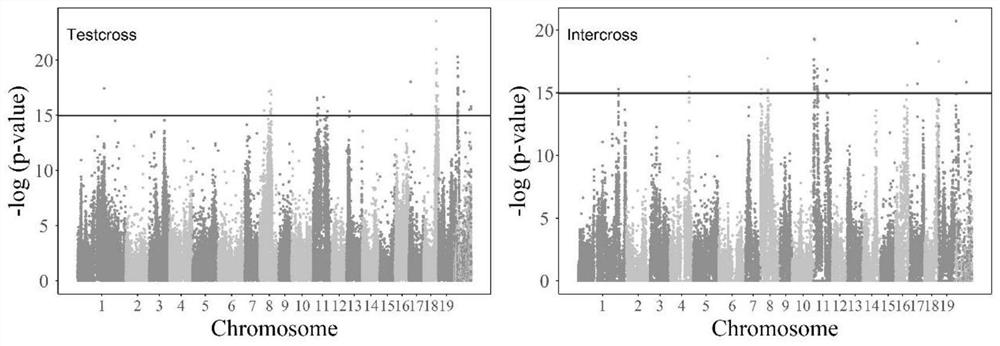 Method for QTL framework of tree quantitative traits based on Richards equation