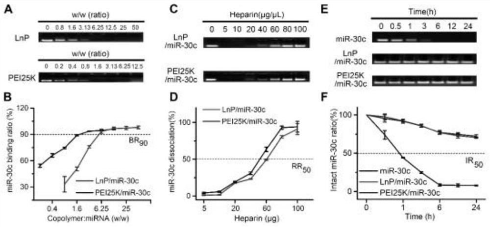 MiRNA (micro Ribonucleic Acid) vector based on lanthanide oxygen-fluorine nanocrystal and application of miRNA vector