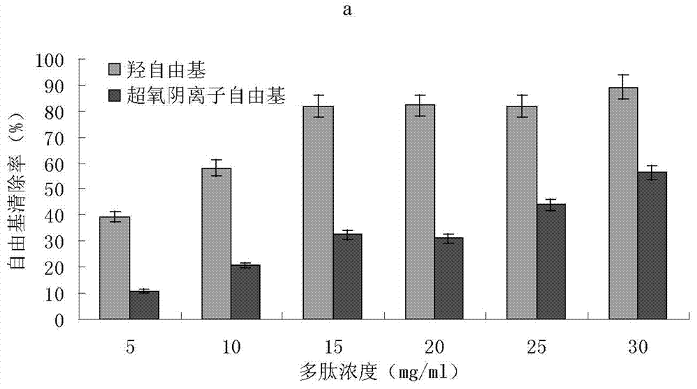 Giant salamander extract and preparation method thereof