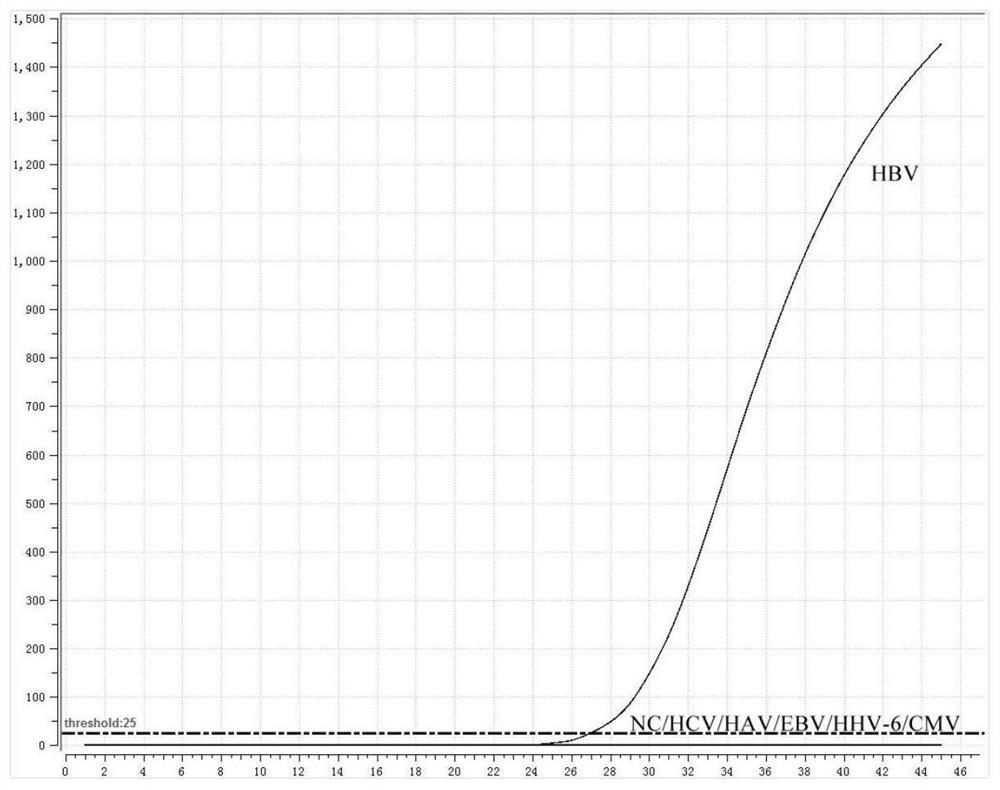 Primer probe group and kit for jointly detecting hepatitis B virus and hepatitis C virus based on fluorescent RMA method