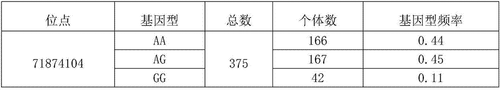 Sheep prolificacy related SNP molecular marker and application thereof